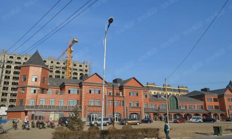 龙江龙城世家施工进度图