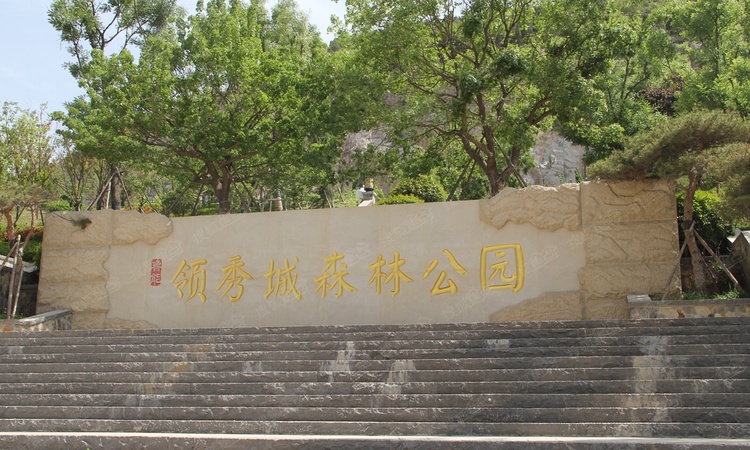 济南鲁能领秀城实景图