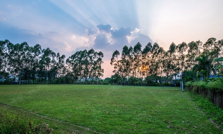 保利君悦湾周边配套图