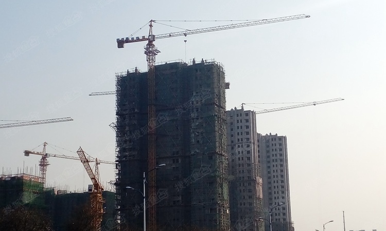 东冠逸品龙湾施工进度图