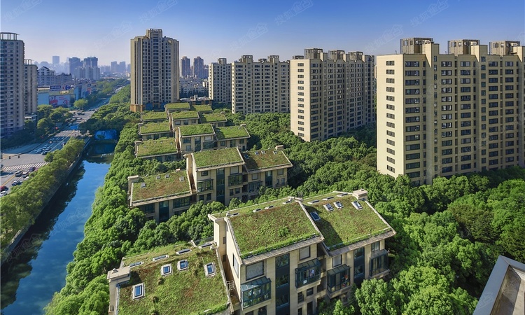 中鹰黑森林效果图