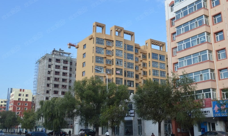 讷河时代家园施工进度图