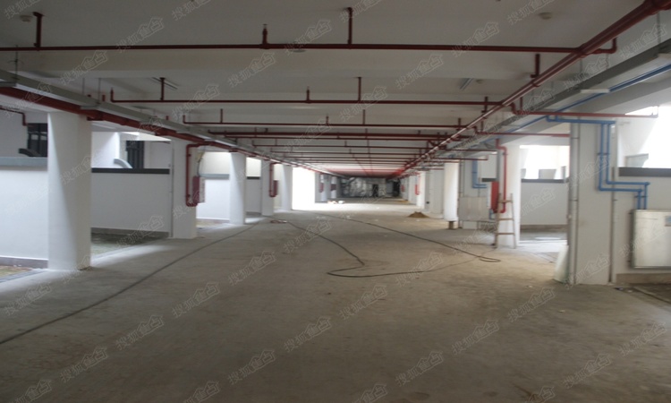 五洲东方墅实景图