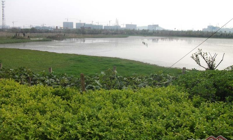 鸿瑞熙龙湾周边配套图