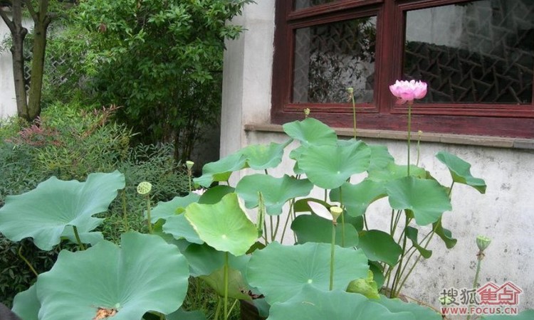 拙政别墅周边配套图