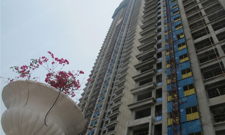 凯旋1号施工进度图