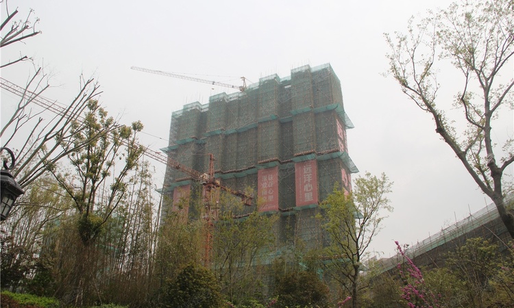 远洋心里施工进度图