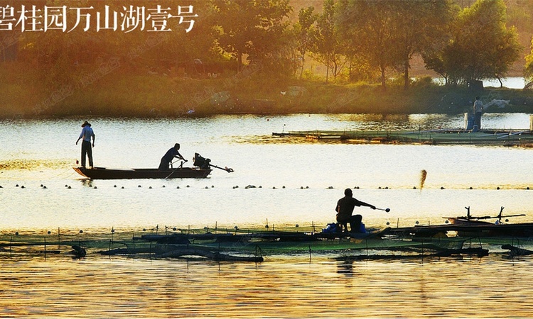 碧桂园万山湖壹号周边配套图