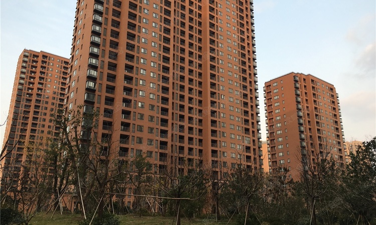 泰盈八千里施工进度图