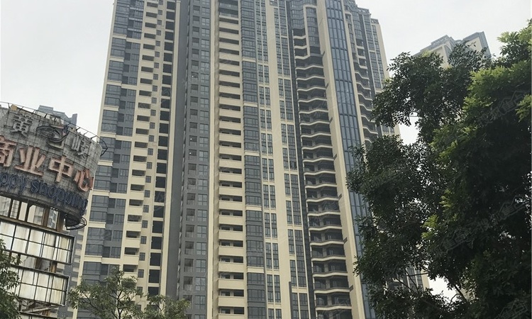 珠水豪庭施工进度图