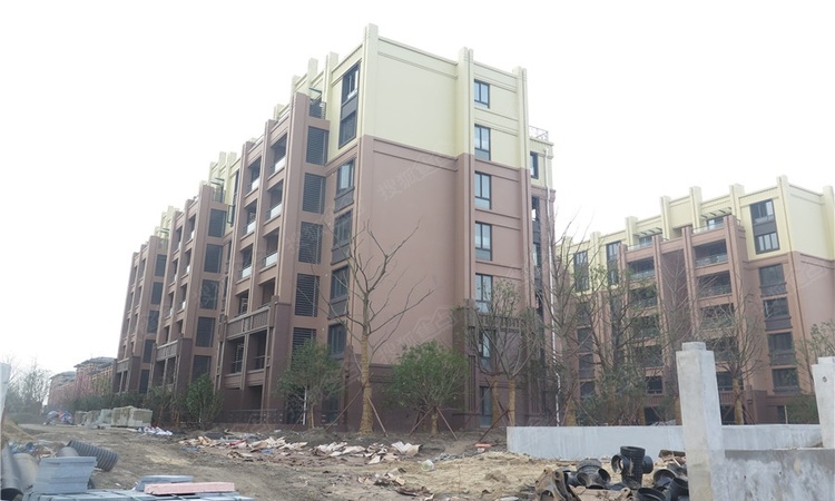 临港首府施工进度图