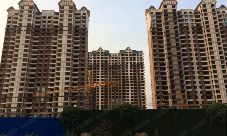 天洲铂悦施工进度图