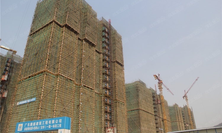 碧桂园伯爵台施工进度图