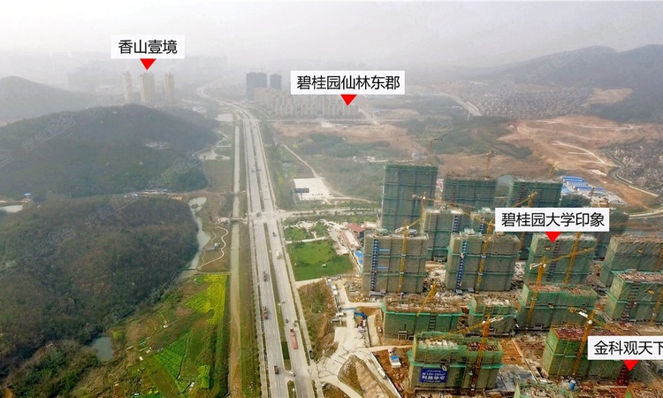 碧桂园大学印象实景图