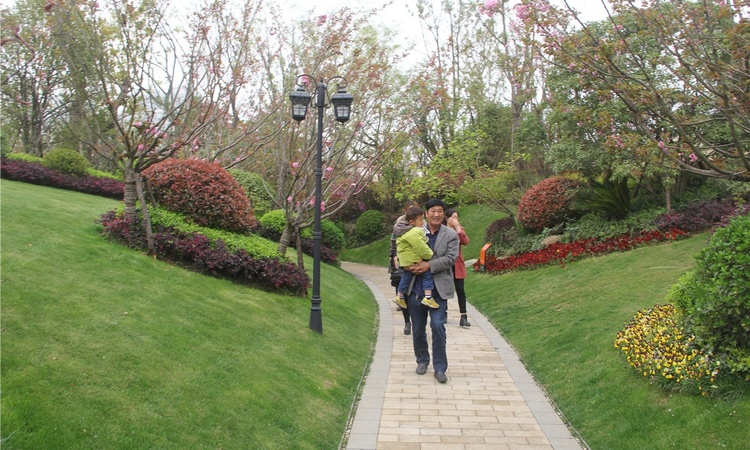 远洋心里实景图