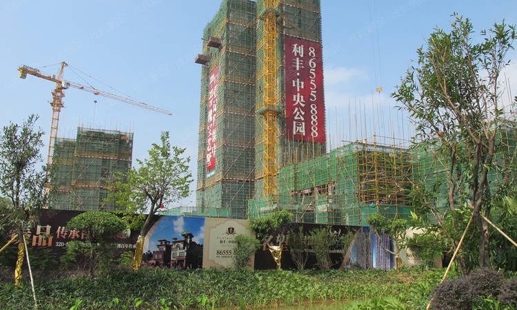 利丰中央公园施工进度图