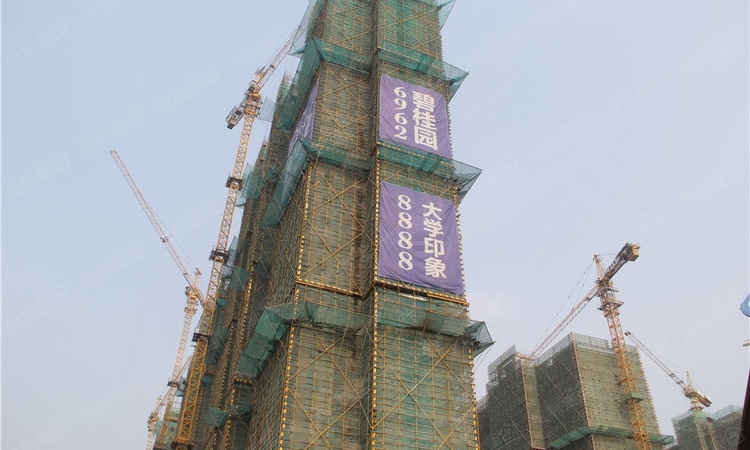 碧桂园大学印象施工进度图