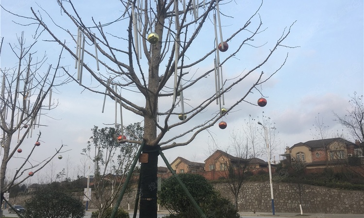 碧桂园伯爵台实景图