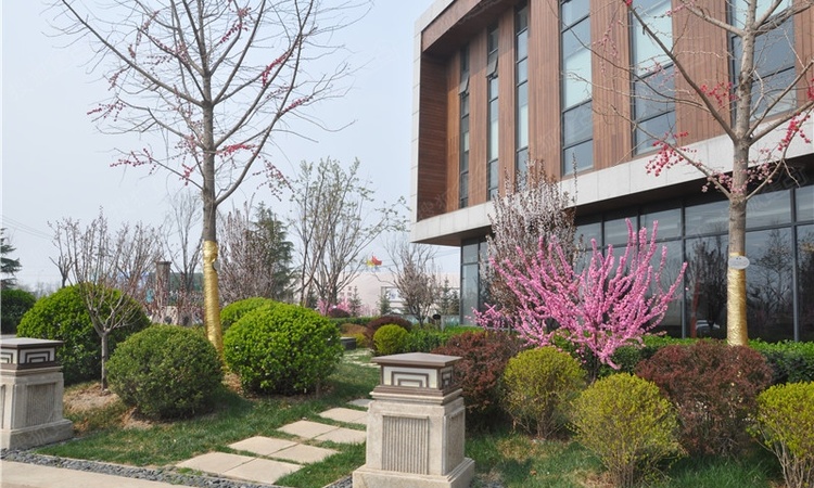 天骥智谷实景图