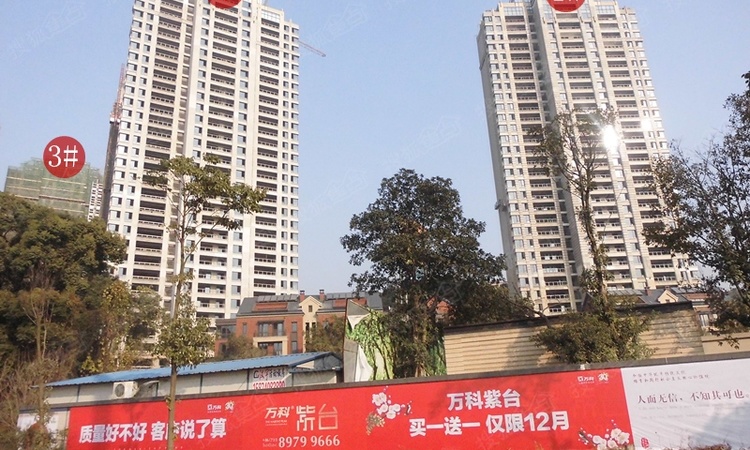 万科紫台施工进度图