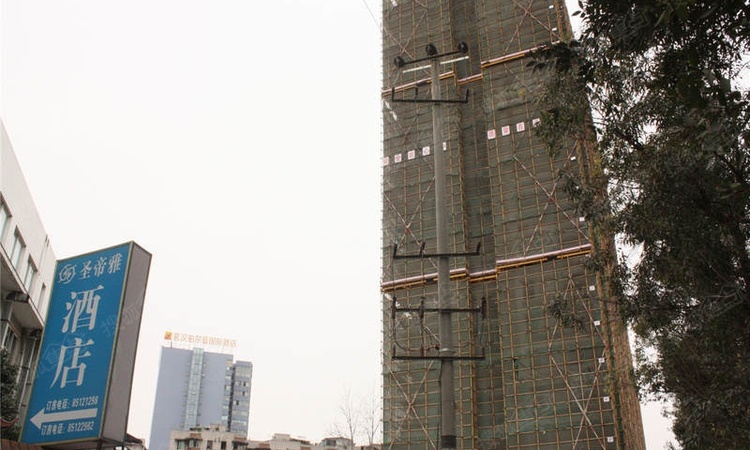 和贵蜜巢施工进度图