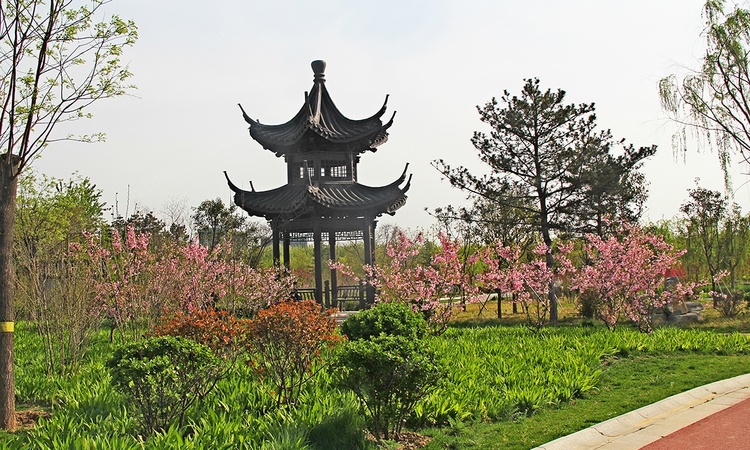 林荫春天周边配套图