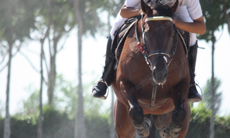 南园周边配套图