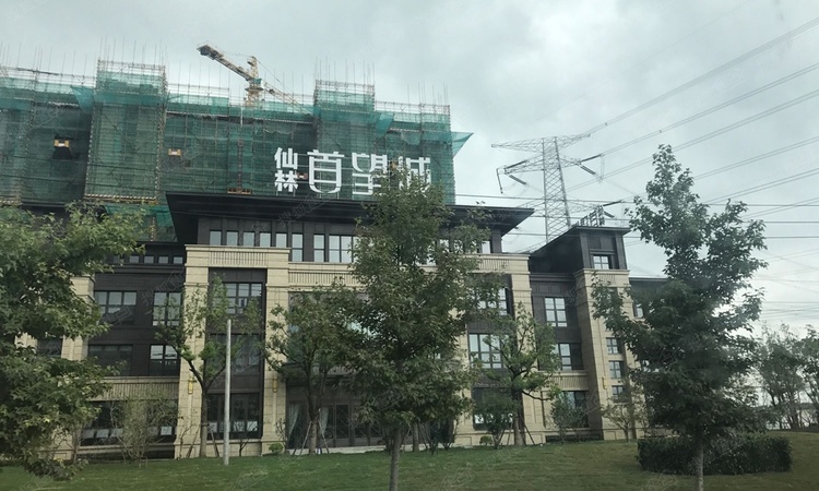 仙林首望城实景图