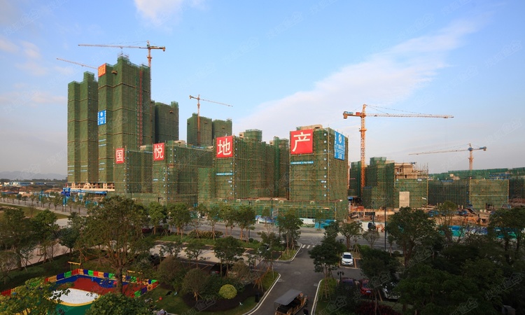 国悦九曲湾施工进度图