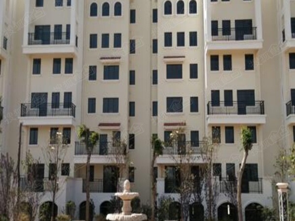 玖龙国际施工进度图