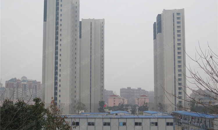 阳明花园施工进度图