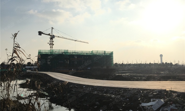 星河丹堤施工进度图