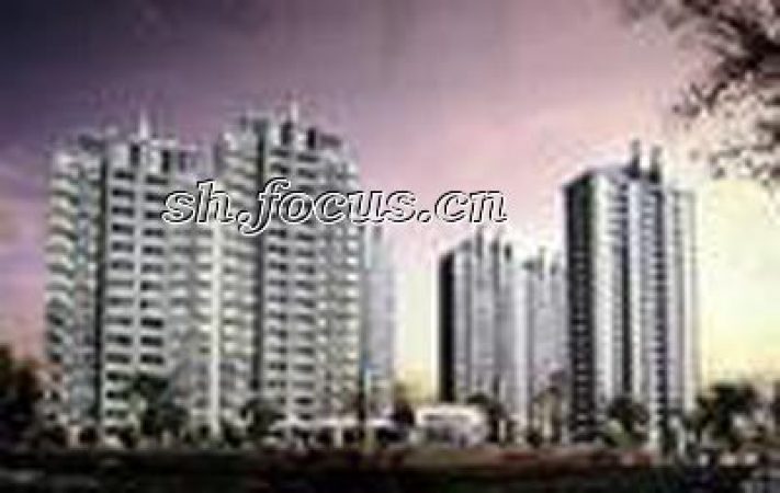 金色贝拉维效果图