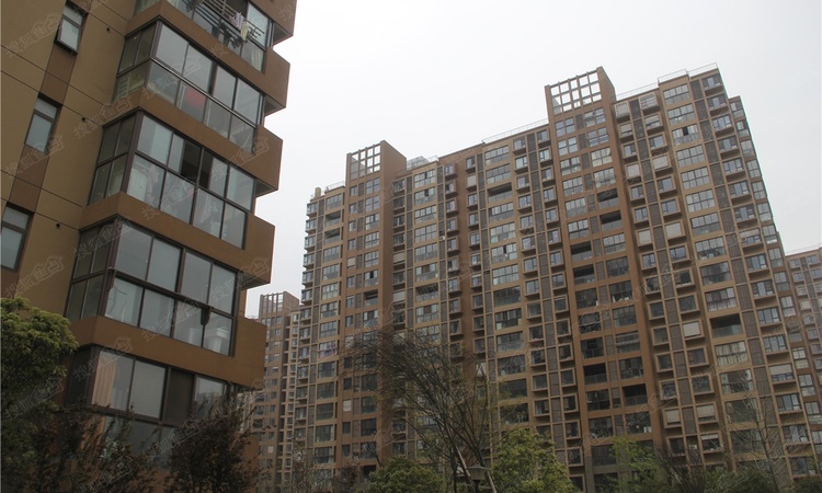 泰达青筑施工进度图