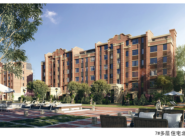 万锦香樟树效果图