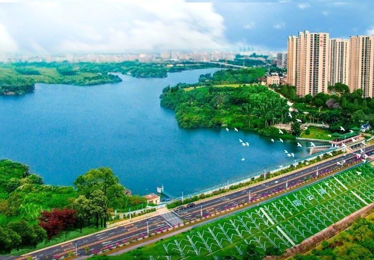 瑞云湖·兆福苑实景图