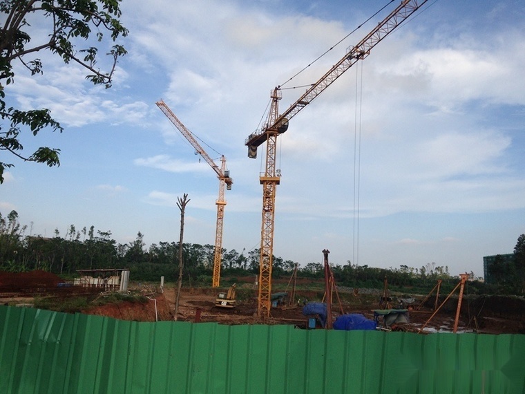 旭阳·热带森林实景图