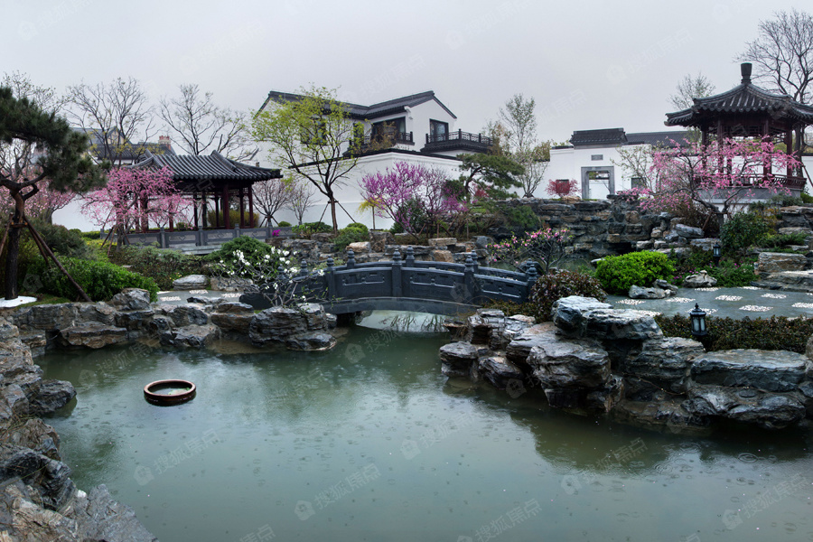天泰桃花源实景图_天泰桃花源环境怎么样-青岛搜狐焦点网