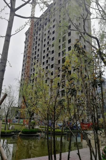 华安东方名郡实景图_华安东方名郡环境怎么样-潍坊搜狐焦点网