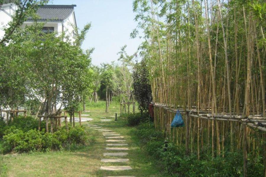 华萃庭院实景图_华萃庭院环境怎么样-湖州搜狐焦点网