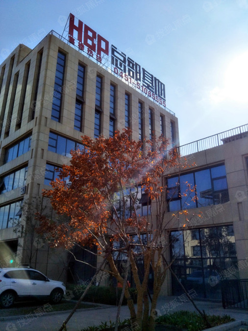 hbp总部基地图片_样板间_装修效果图-哈尔滨搜狐焦点网