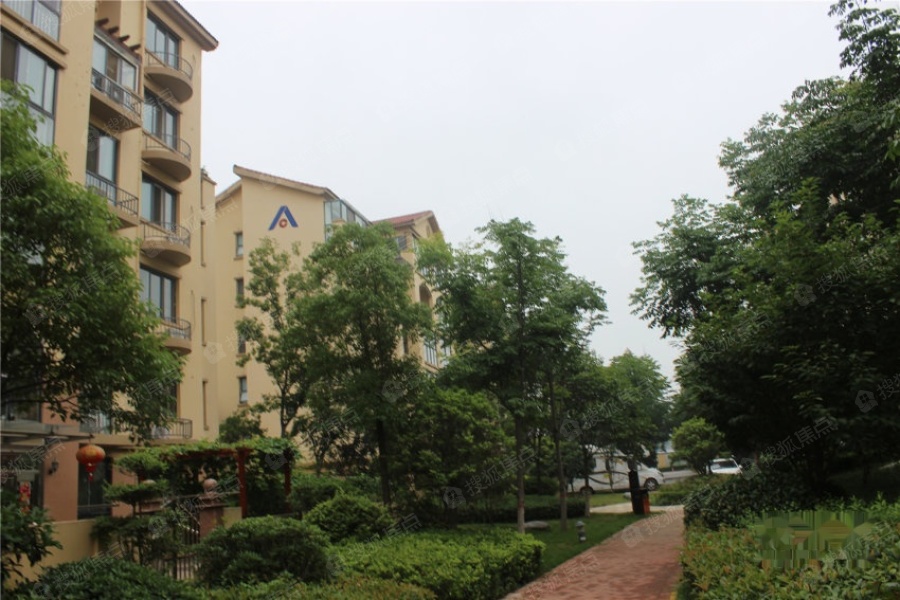 遂平建业森林半岛实景图_遂平建业森林半岛环境怎么样-驻马店搜狐焦点