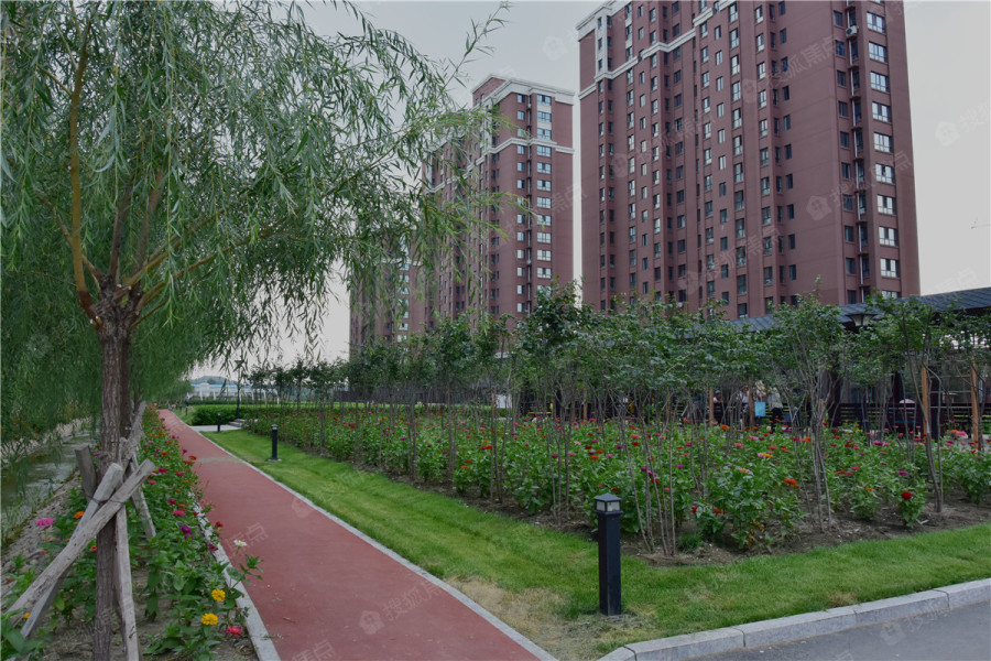 永安城图片_样板间_装修效果图-哈尔滨搜狐焦点网