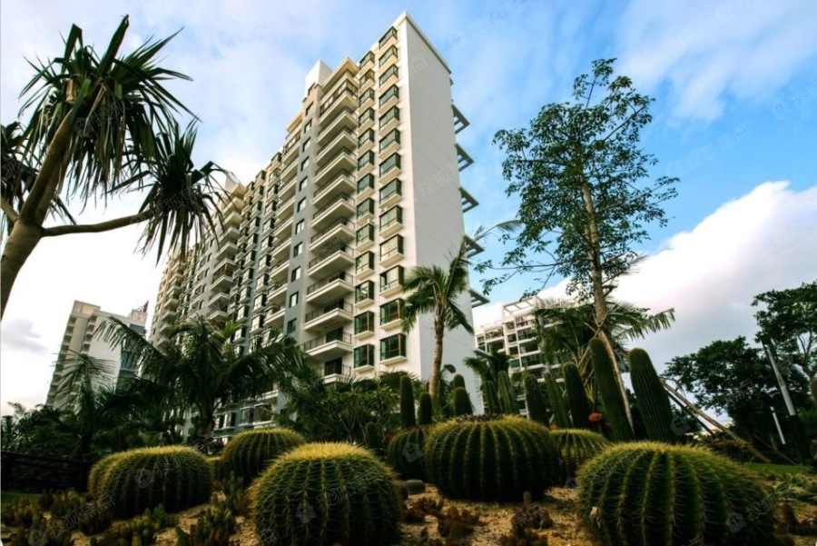 水漾人家实景图_水漾人家环境怎么样-海口搜狐焦点网