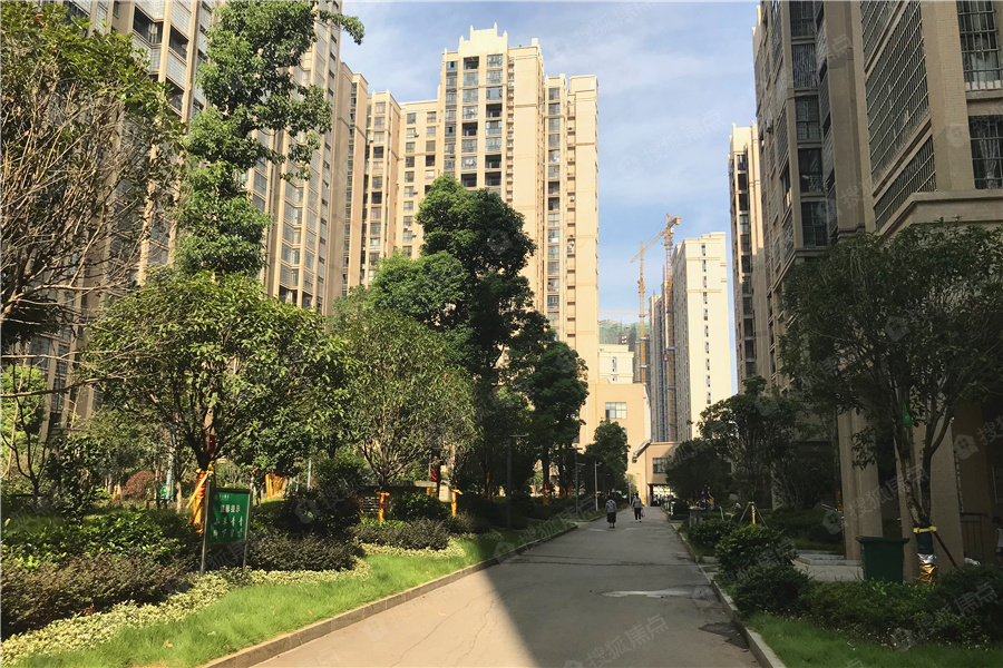 百合御都图片_样板间_装修效果图-湘潭搜狐焦点网