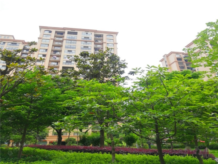 公园世家实景图_公园世家环境怎么样-常德搜狐焦点网