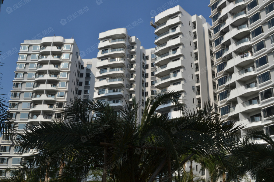 半岛壹号图片_样板间_装修效果图-海口搜狐焦点网