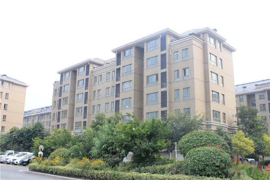 冠亚星城图片_样板间_装修效果图-临沂搜狐焦点网