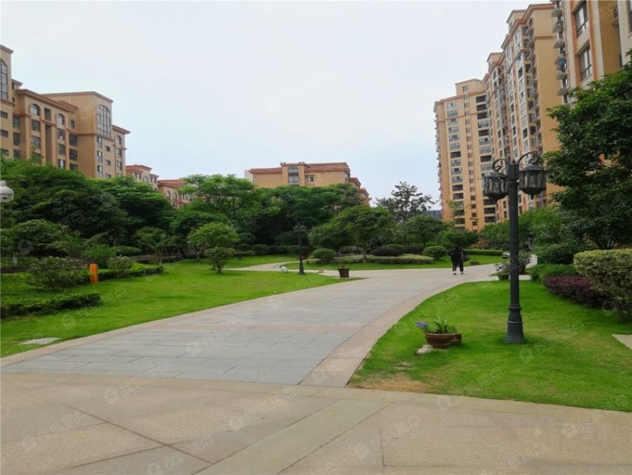 公园世家实景图_公园世家环境怎么样-常德搜狐焦点网