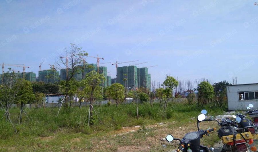 天玺99湾实景图_天玺99湾环境怎么样-漳州搜狐焦点网